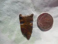 DSCN0505.webp