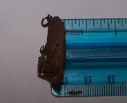 pendant 002.webp