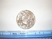 Front of medallion with ruler.webp