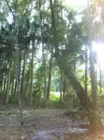 image-2344656480.webp