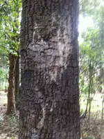 image-3170464774.webp