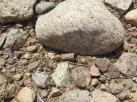 DSCN0769.webp