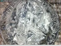 carolus.webp