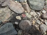 DSCN0773.webp