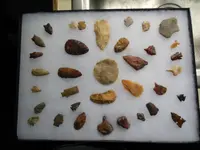DSCN0848.webp
