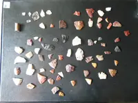 DSCN0852.webp