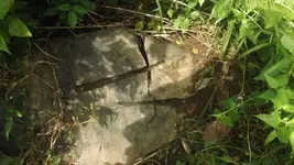 1477600_246090812216776_1093969299_n.webp