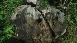 1477979_246090435550147_911842782_n.webp