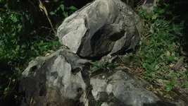 1450067_246090558883468_704578162_n.webp