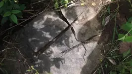 1464660_246090942216763_1147236807_n.webp