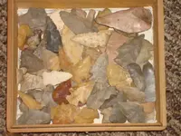 DSC00018.webp