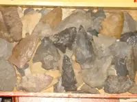 DSC00021.webp