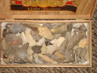 DSC00024.webp