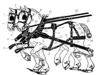 horsegear_diagram_hames&harness&trace-chains_TN_postedbyBonMate.webp