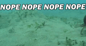 TAt1M6N.gif