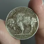Buffalo Reverse.webp Buffalo Reverse.webp