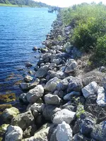 ForumRunner_20131031_104434.webp