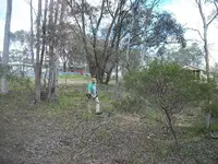 100_2894.webp