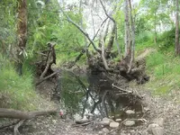 100_2917.webp