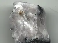 rock with gold.webp