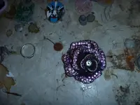 metal detecting 006.webp