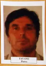 Pietro Tavano Speedy.webp