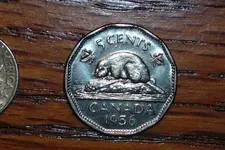 DSCN4770.webp