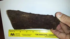 20131125_100159.webp