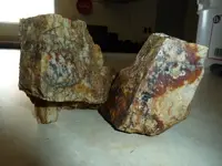 beryl (2) 094_2_2.webp