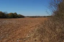 100_4472.webp