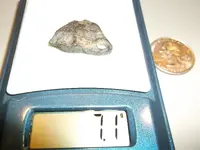 2nd Iron meteorite find  sept.2013 001.webp