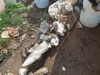 home rocks 008.webp