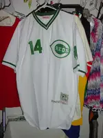 DSC01825.webp