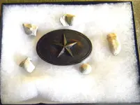 TexasRelics.webp