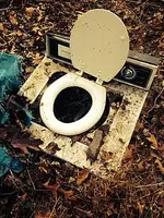Poop.webp