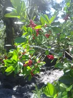 ForumRunner_20131019_182052.webp