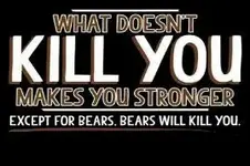 What doesn't kill you makes you stronger.webp What doesn't kill you makes you stronger.webp