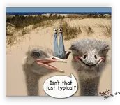 headinsand.webp