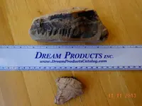 DSCN1991.webp