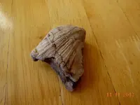 DSCN1989.webp