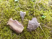 20131019_120746.webp