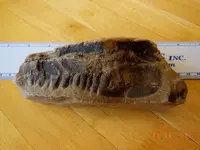 DSCN1993.webp