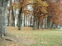 DSCF0002.webp