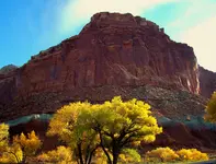 torrey utah 3.webp