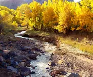 torrey utah 4.webp