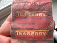 teaberry 001 (Small).webp