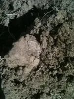 image-2567186181.webp