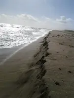 ForumRunner_20131106_153100.webp