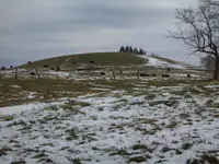 mound 002.webp