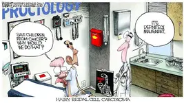 pic_cartoon_100713_new_A.webp